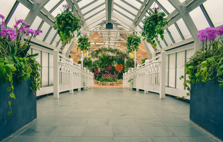 Captivating view of an indoor greenhouse walkway adorned with lush plants and vibrant orchids.